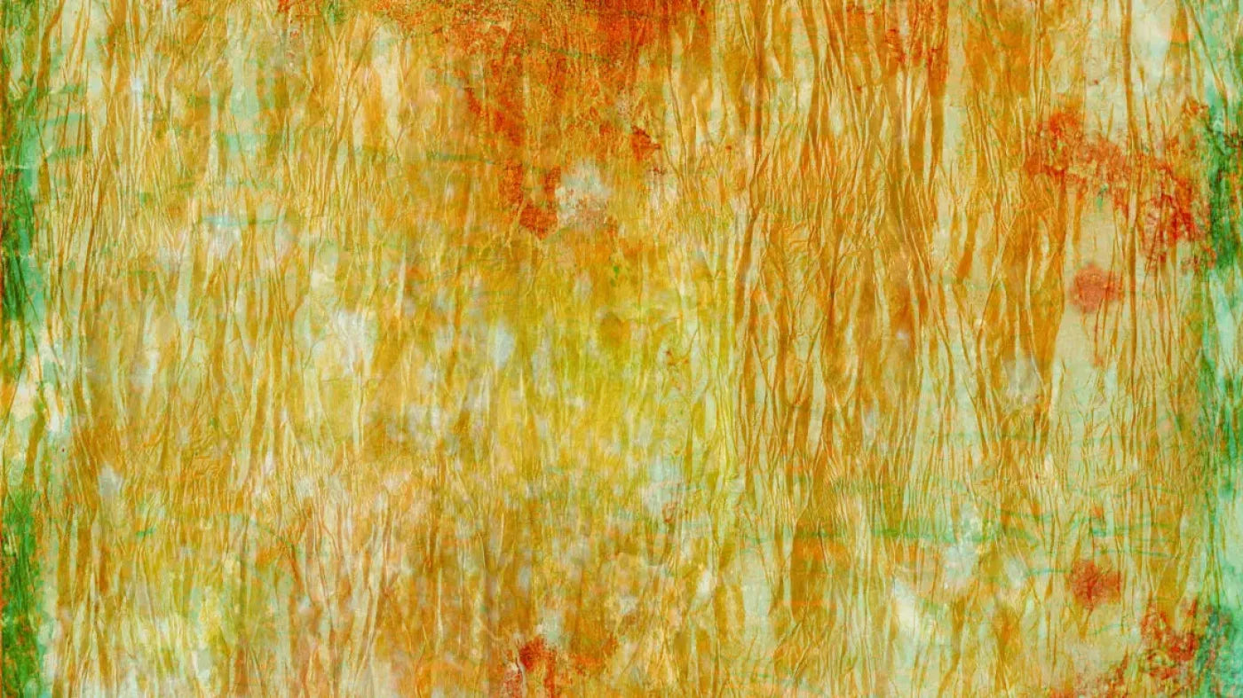 Lucid 14X8 Ultracloth ( 168 X 96 Inch ) Backdrop
