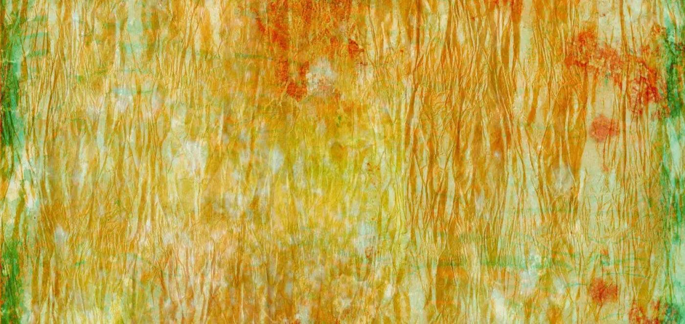 Lucid 16X8 Ultracloth ( 192 X 96 Inch ) Backdrop