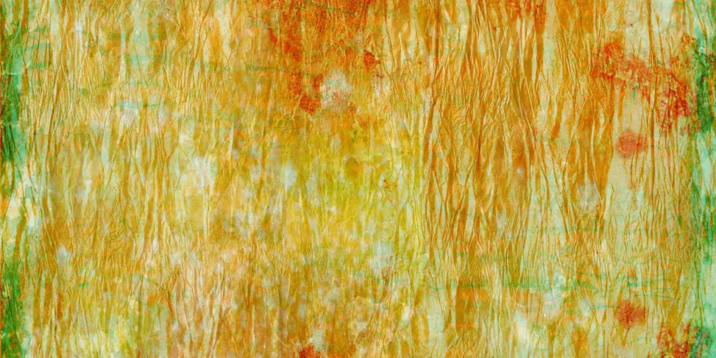 Lucid 20X10 Ultracloth ( 240 X 120 Inch ) Backdrop