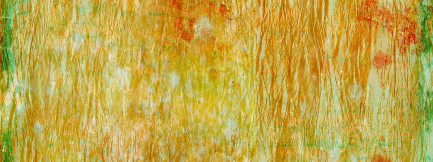 Lucid 20X8 Ultracloth ( 240 X 96 Inch ) Backdrop