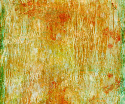 Lucid 5X42 Fleece ( 60 X 50 Inch ) Backdrop