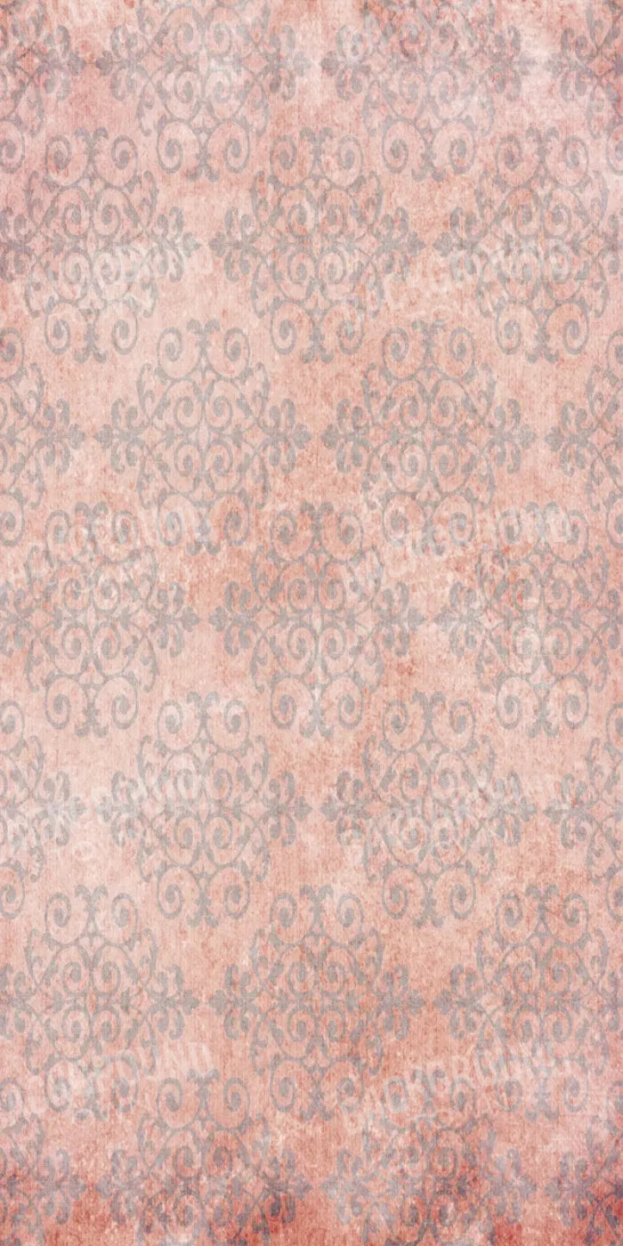 Lucy Love 10X20 Ultracloth ( 120 X 240 Inch ) Backdrop