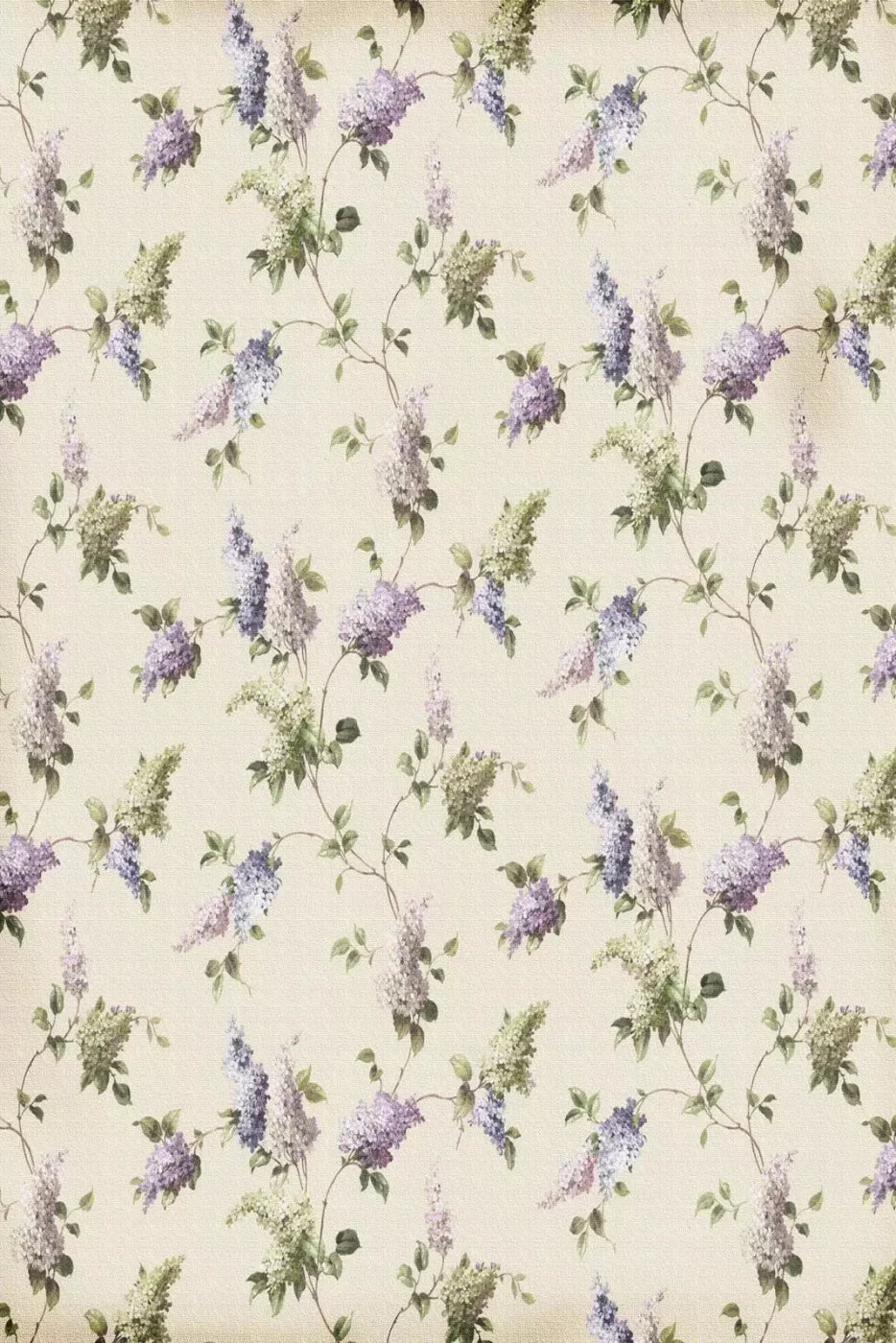 Mabel Backdrop