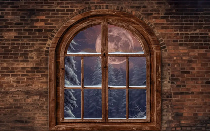 Magic of Santa Window No Santa Backdrop
