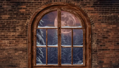 Magic of Santa Window No Santa Backdrop