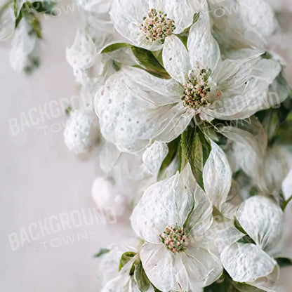 Magnolia 10X10 Ultracloth ( 120 X Inch ) Backdrop