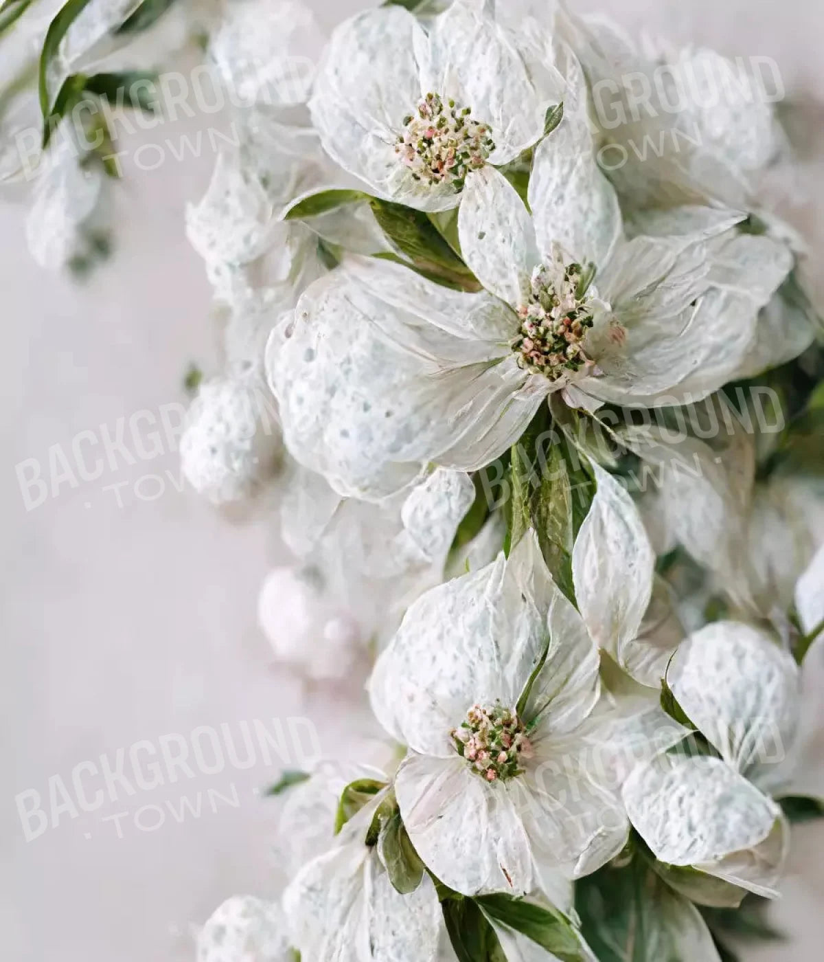 Magnolia 10X12 Ultracloth ( 120 X 144 Inch ) Backdrop