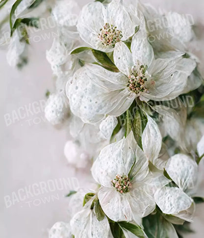 Magnolia 10X12 Ultracloth ( 120 X 144 Inch ) Backdrop