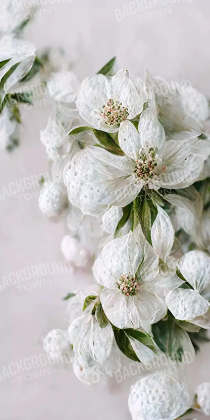 Magnolia 10X20 Ultracloth ( 120 X 240 Inch ) Backdrop