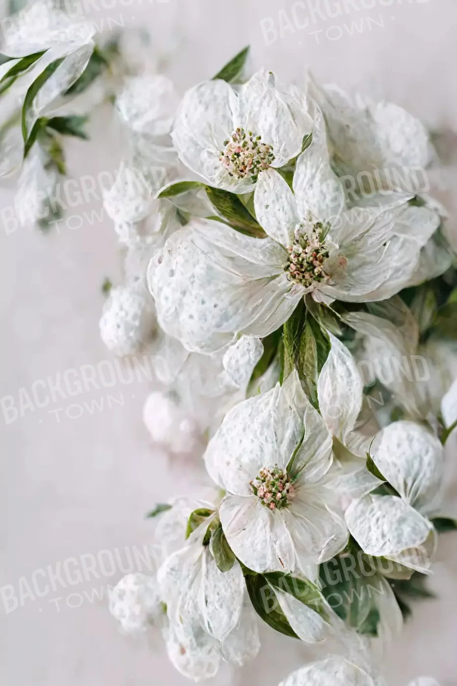 Magnolia 5X8 Ultracloth ( 60 X 96 Inch ) Backdrop