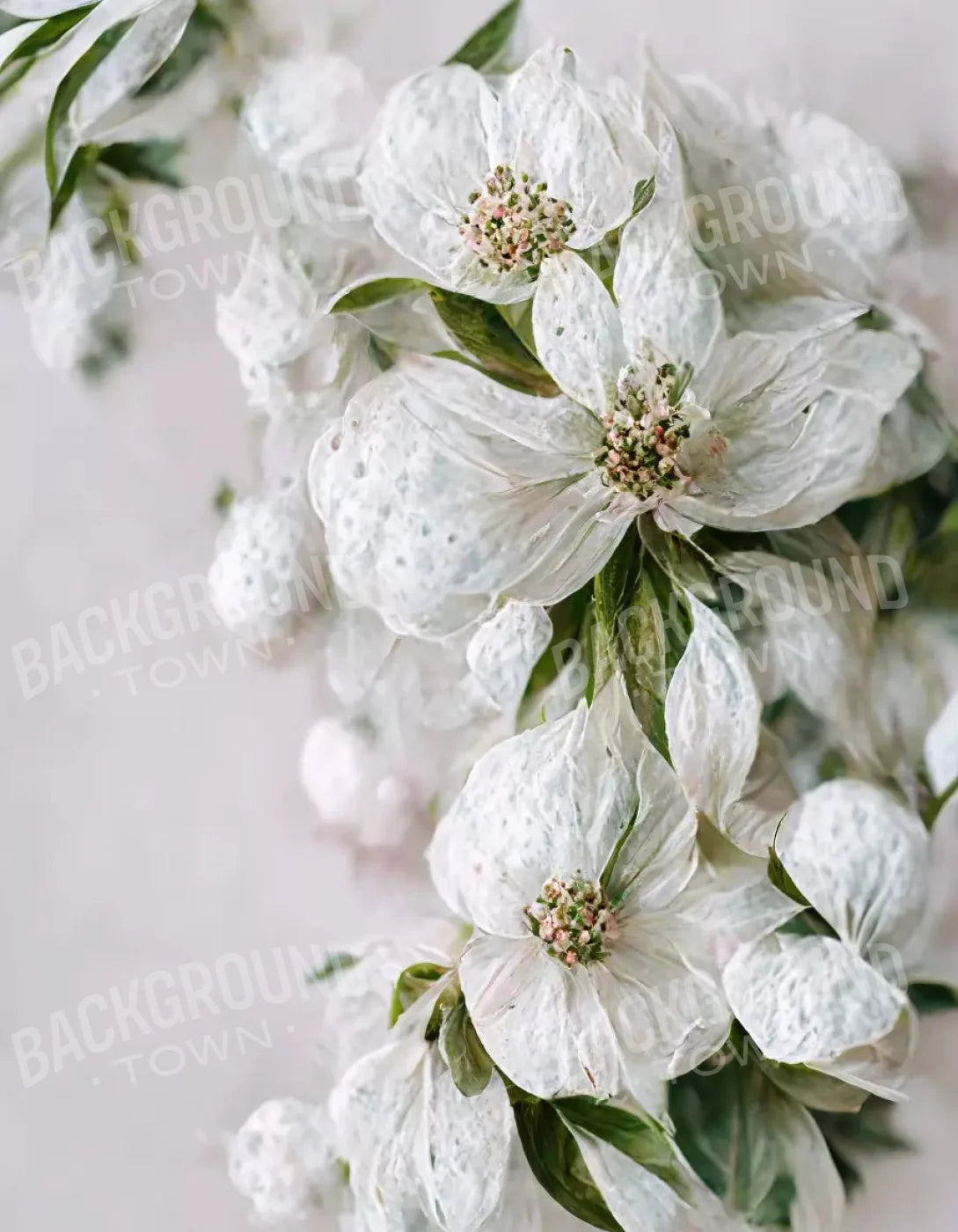 Magnolia 6X8 Fleece ( 72 X 96 Inch ) Backdrop