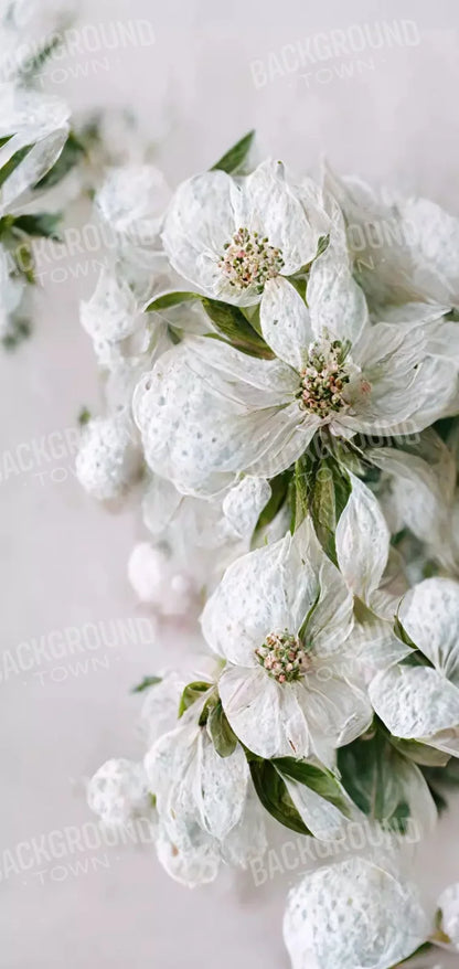 Magnolia 8X16 Ultracloth ( 96 X 192 Inch ) Backdrop
