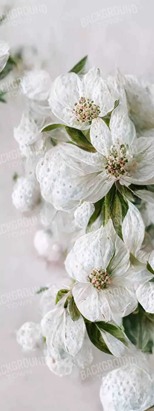 Magnolia 8X20 Ultracloth ( 96 X 240 Inch ) Backdrop