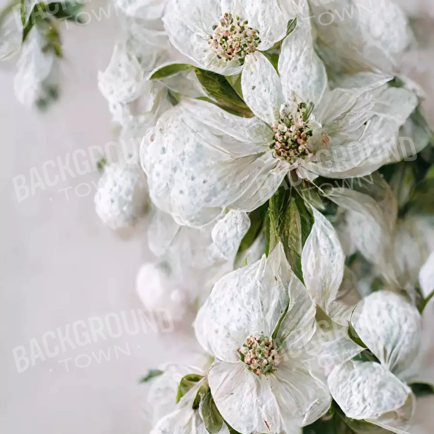 Magnolia 8X8 Fleece ( 96 X Inch ) Backdrop