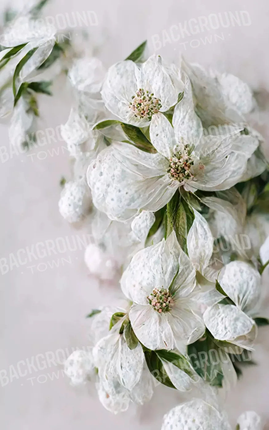 Magnolia 9X14 Ultracloth ( 108 X 168 Inch ) Backdrop