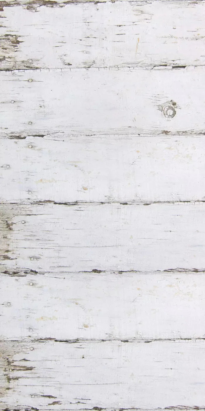 Maine 10X20 Ultracloth ( 120 X 240 Inch ) Backdrop