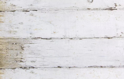 Maine 12X8 Ultracloth ( 144 X 96 Inch ) Backdrop