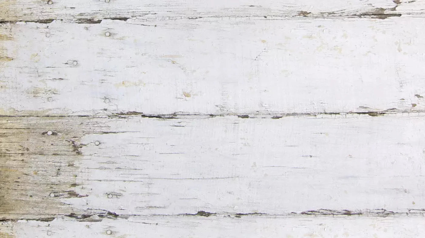 Maine 14X8 Ultracloth ( 168 X 96 Inch ) Backdrop