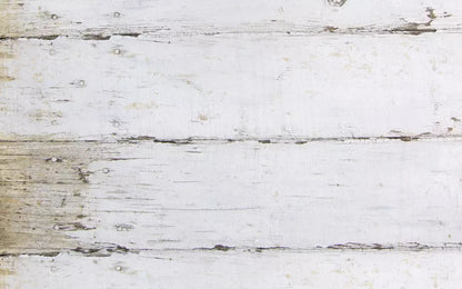 Maine 14X9 Ultracloth ( 168 X 108 Inch ) Backdrop