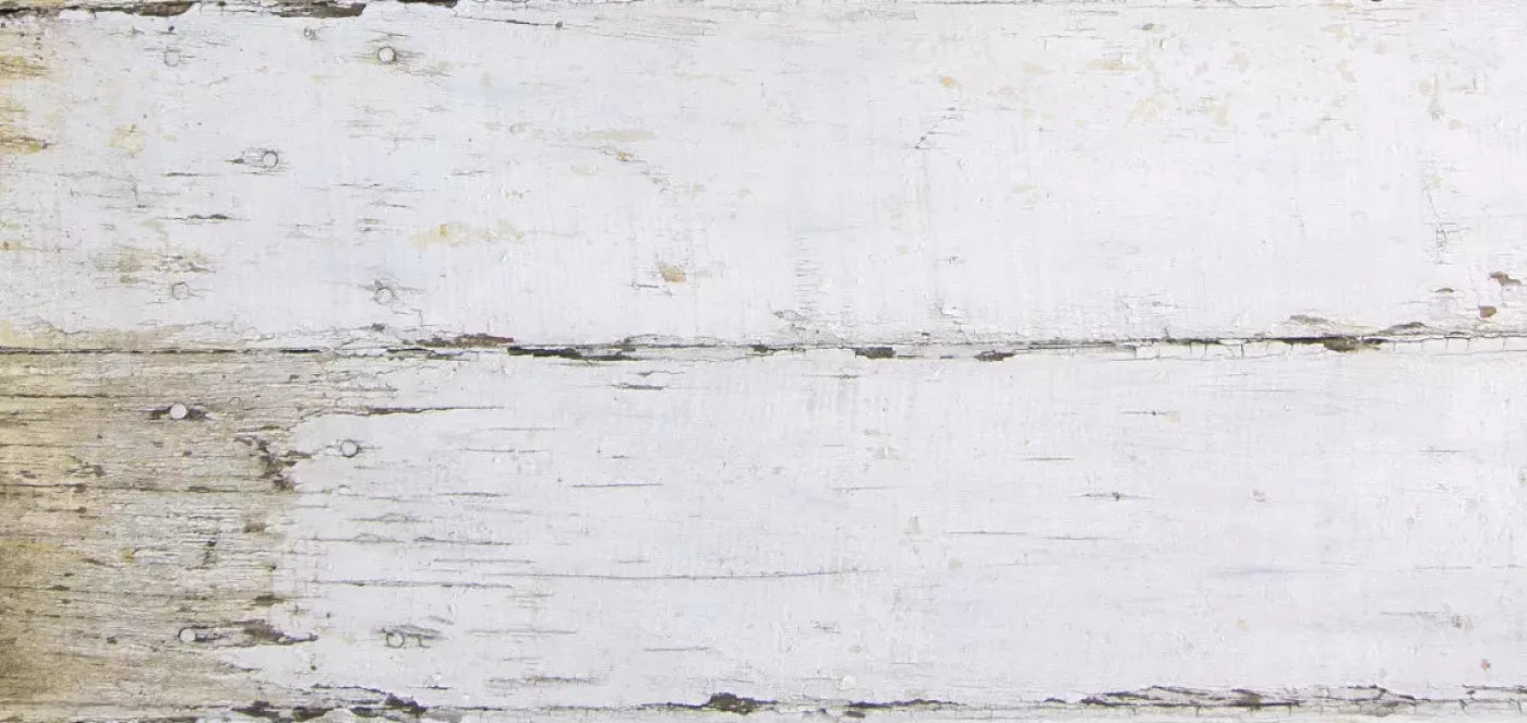 Maine 16X8 Ultracloth ( 192 X 96 Inch ) Backdrop