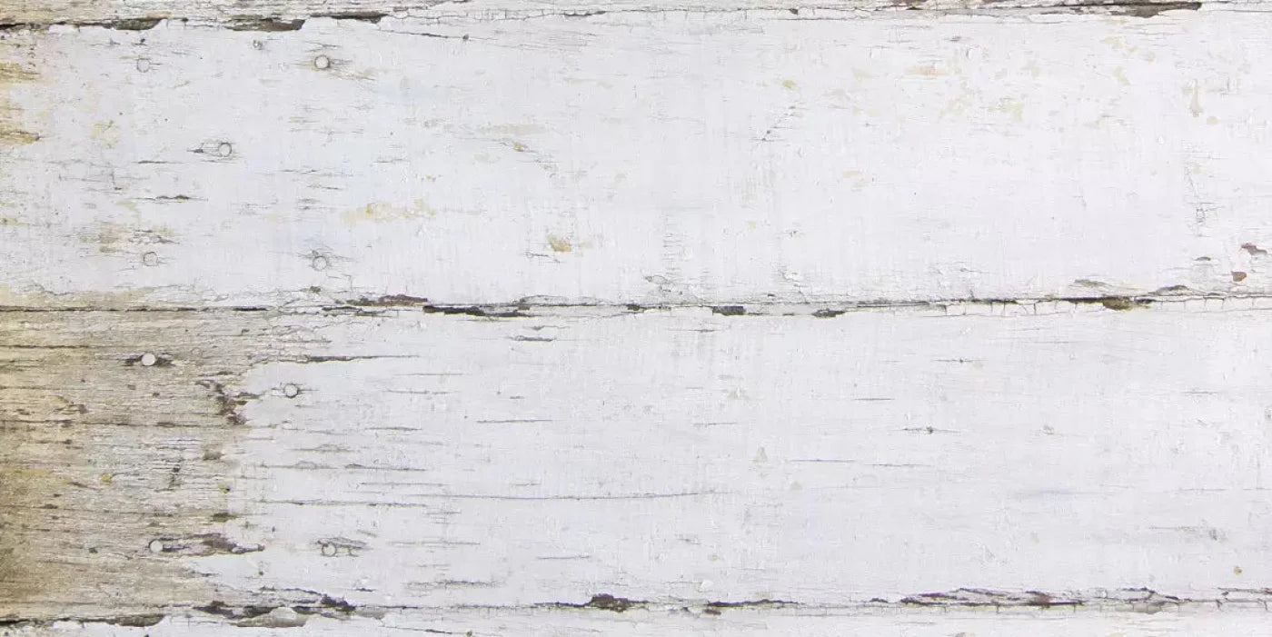 Maine 20X10 Ultracloth ( 240 X 120 Inch ) Backdrop