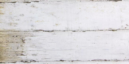 Maine 20X10 Ultracloth ( 240 X 120 Inch ) Backdrop