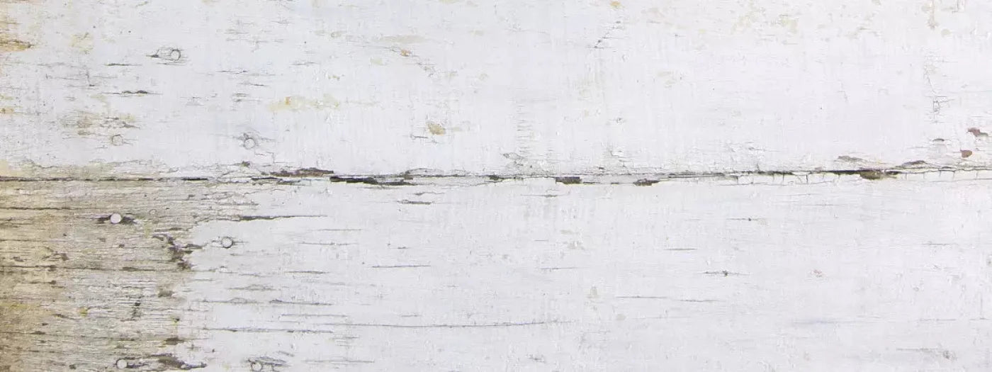 Maine 20X8 Ultracloth ( 240 X 96 Inch ) Backdrop