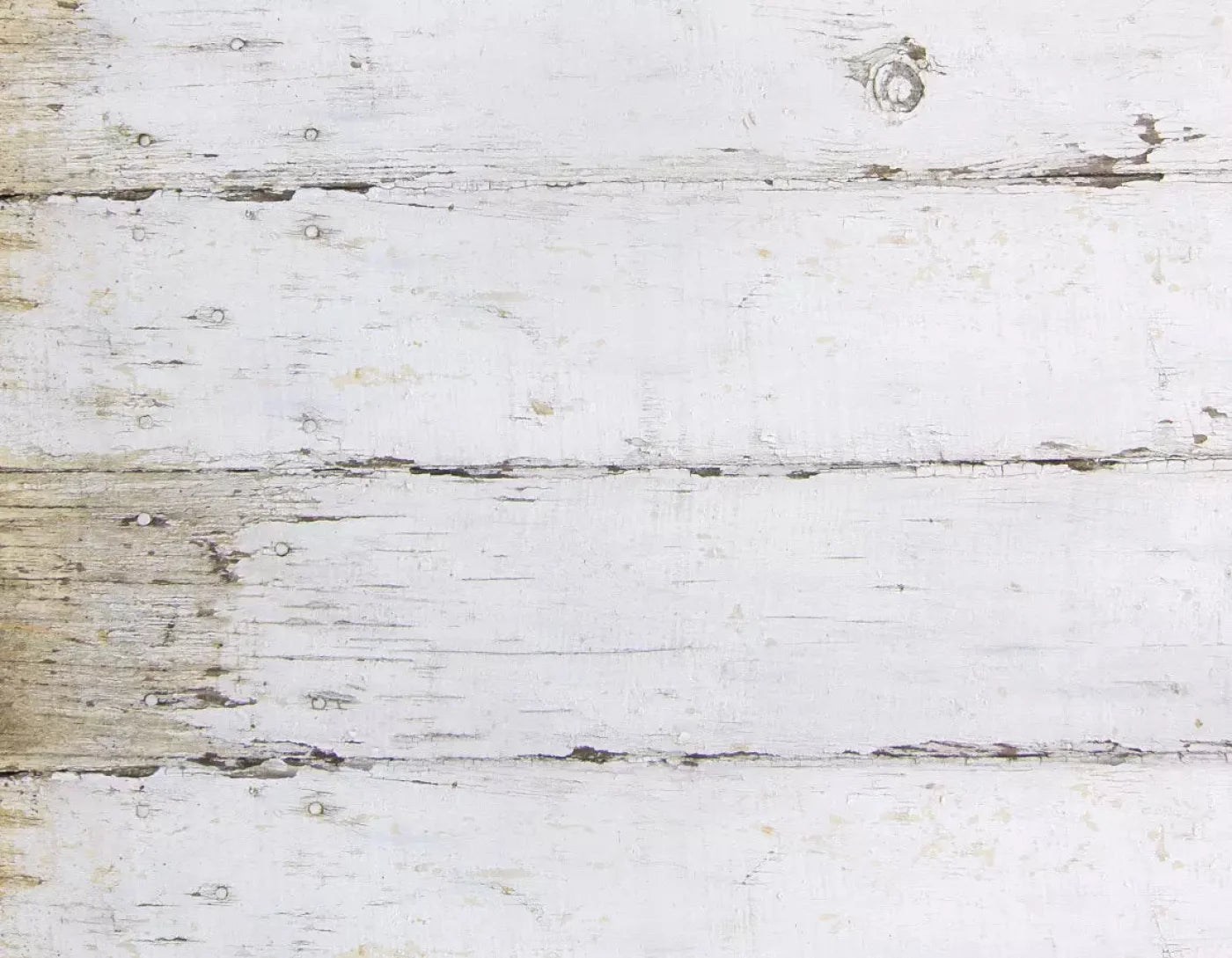 Maine 8X6 Fleece ( 96 X 72 Inch ) Backdrop