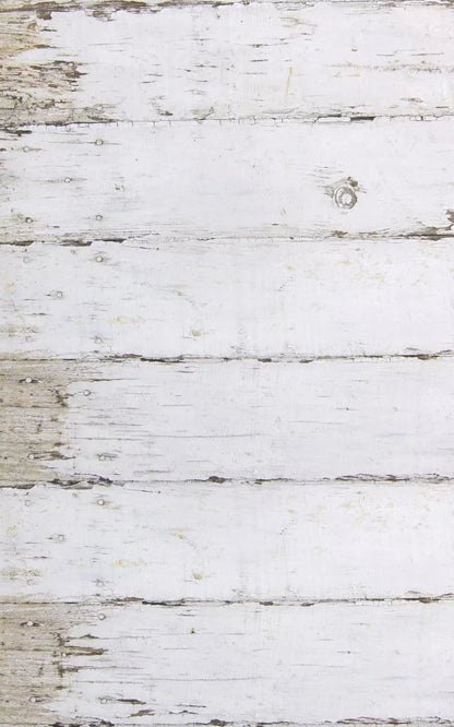 Maine 9X14 Ultracloth ( 108 X 168 Inch ) Backdrop