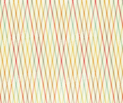 Malin 5X42 Fleece ( 60 X 50 Inch ) Backdrop