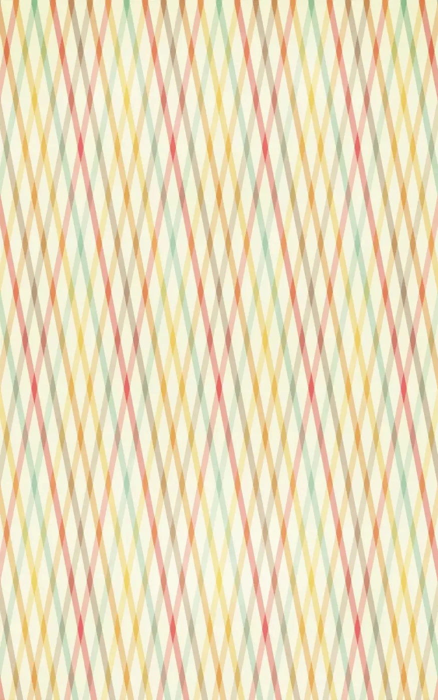 Malin 9X14 Ultracloth ( 108 X 168 Inch ) Backdrop
