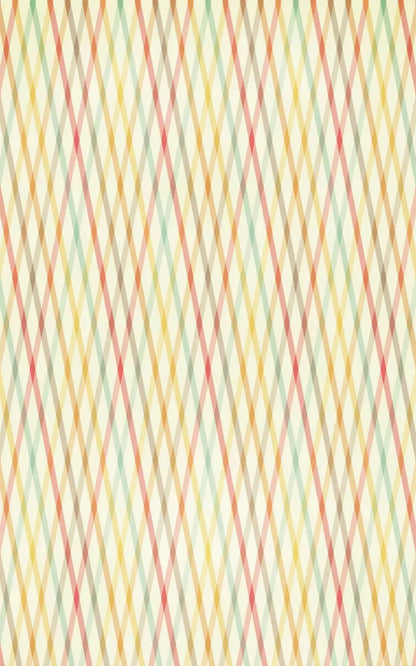 Malin 9X14 Ultracloth ( 108 X 168 Inch ) Backdrop