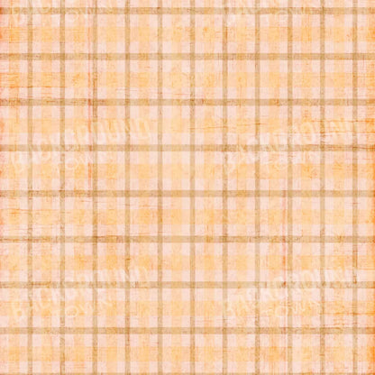 Mango Plaid 10X10 Ultracloth ( 120 X Inch ) Backdrop