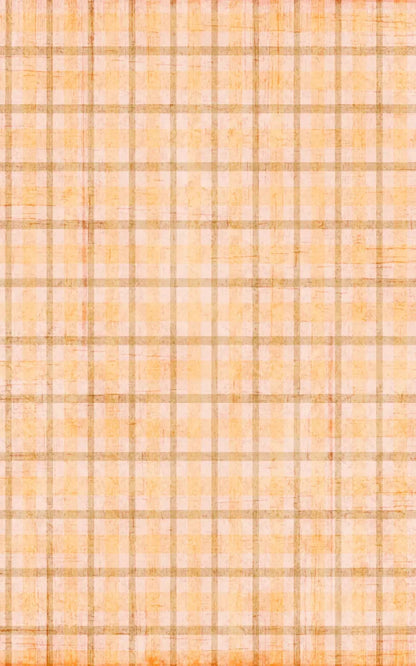 Mango Plaid 9X14 Ultracloth ( 108 X 168 Inch ) Backdrop