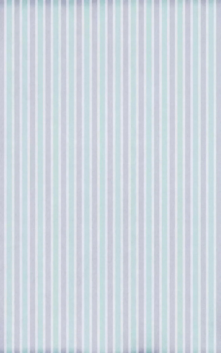 Manny 9X14 Ultracloth ( 108 X 168 Inch ) Backdrop