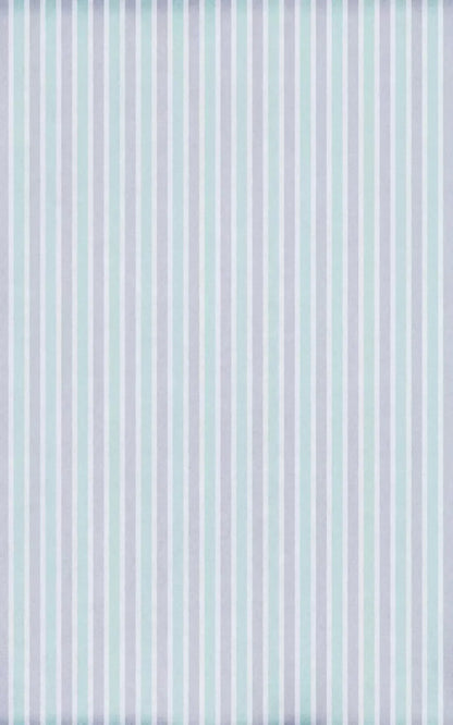 Manny 9X14 Ultracloth ( 108 X 168 Inch ) Backdrop