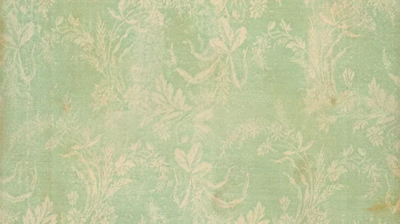 Martha 14’X8’ Ultracloth (168 X 96 Inch) Backdrop