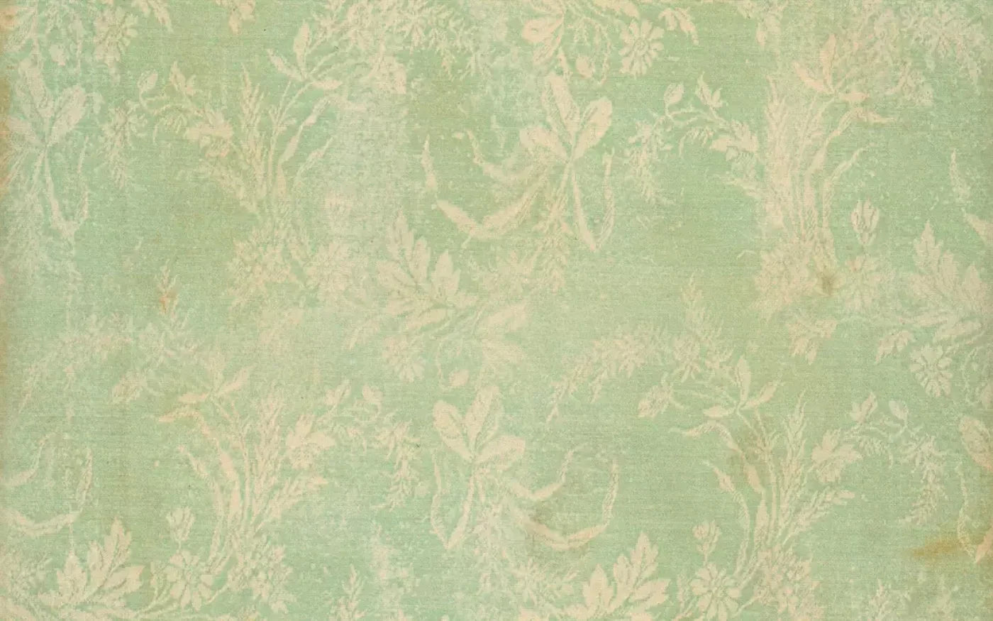 Martha 14’X9’ Ultracloth (168 X 108 Inch) Backdrop