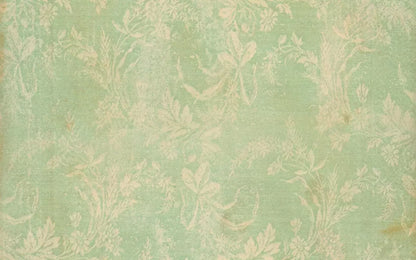 Martha 14’X9’ Ultracloth (168 X 108 Inch) Backdrop