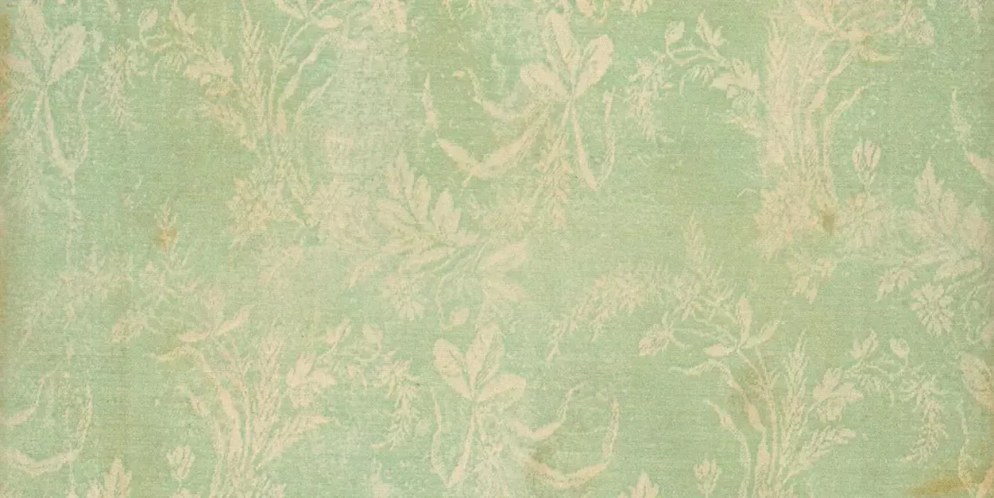 Martha 20’X10’ Ultracloth (240 X 120 Inch) Backdrop