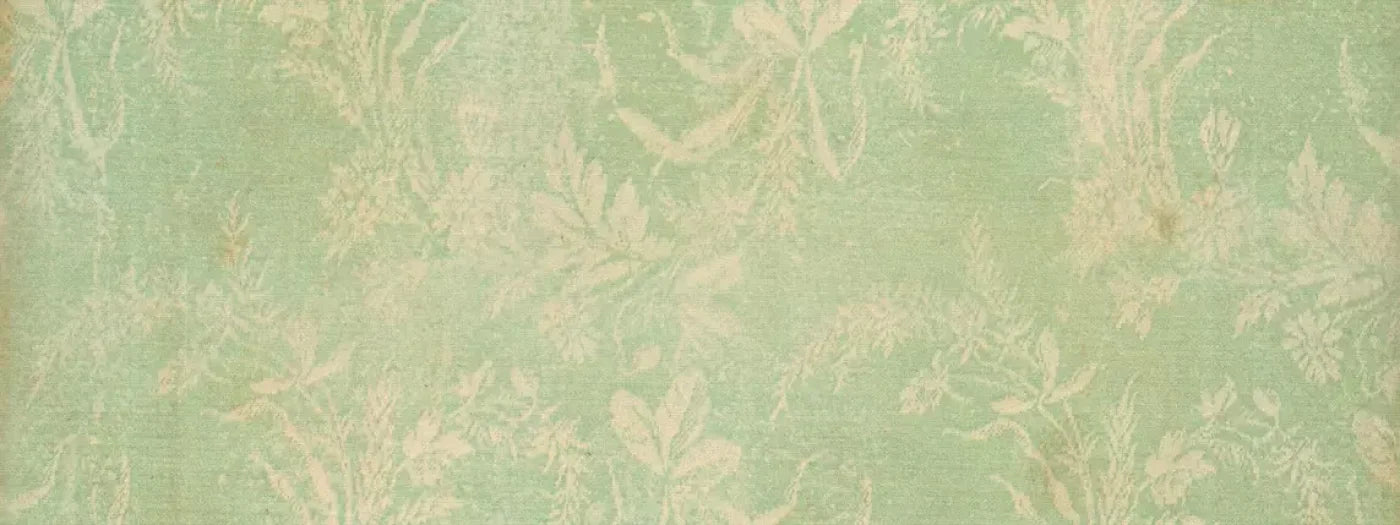 Martha 20’X8’ Ultracloth (240 X 96 Inch) Backdrop
