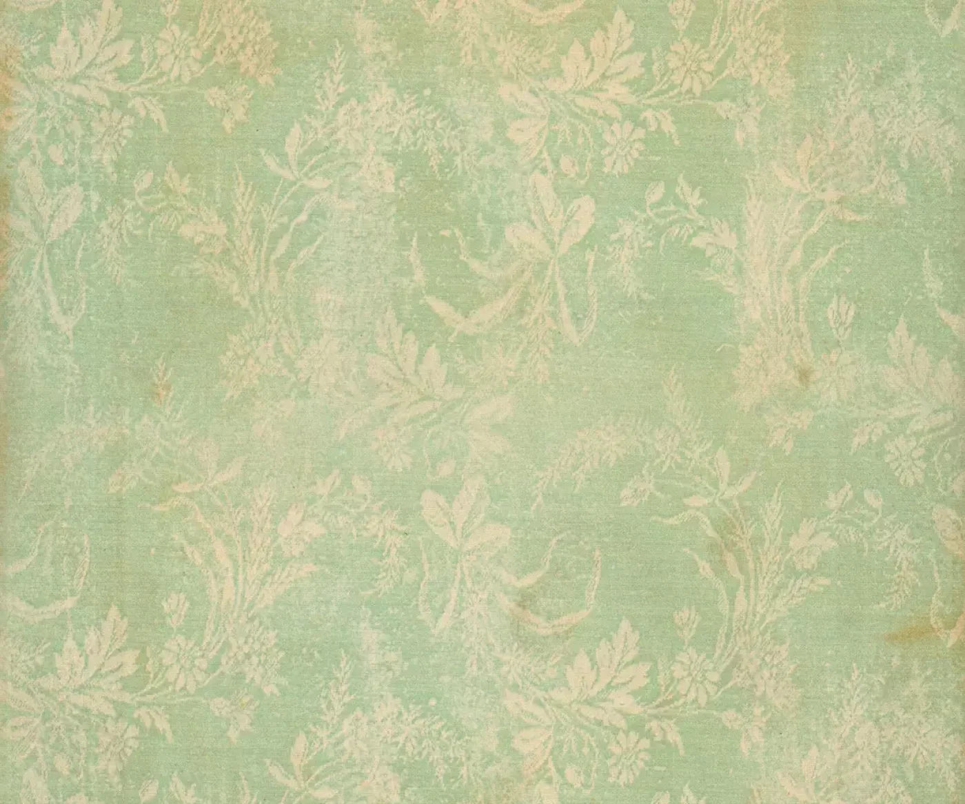 Martha 5’X4’2’’ Fleece (60 X 50 Inch) Backdrop