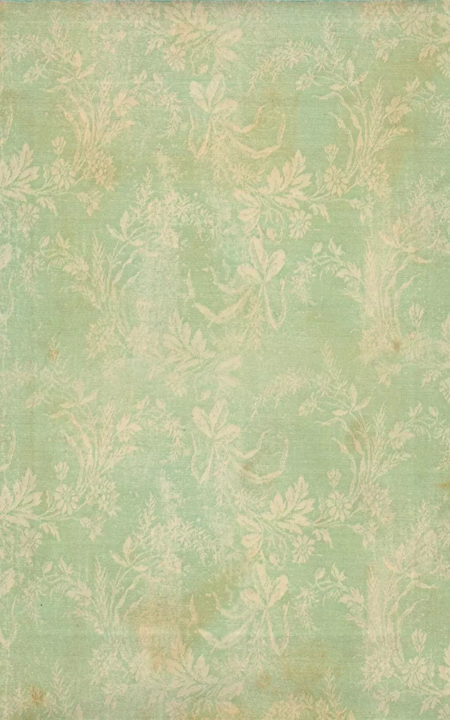 Martha 9’X14’ Ultracloth (108 X 168 Inch) Backdrop