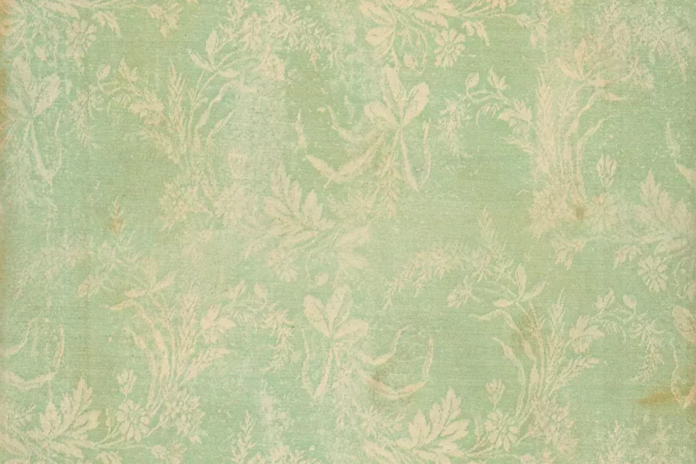 Martha Backdrop
