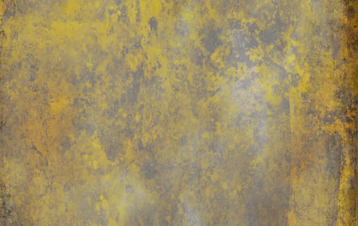 Masked 16’X10’ Ultracloth (192 X 120 Inch) Backdrop