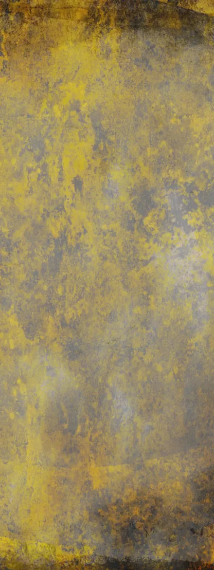 Masked 8’X20’ Ultracloth (96 X 240 Inch) Backdrop