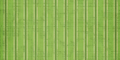 Mason 20’X10’ Ultracloth (240 X 120 Inch) Backdrop