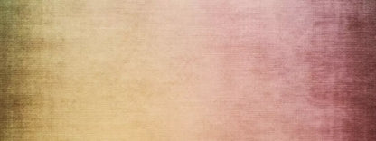 Maxie 20’X8’ Ultracloth (240 X 96 Inch) Backdrop