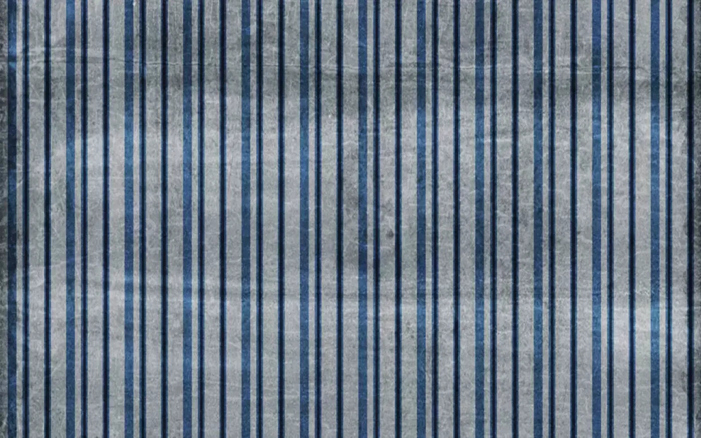 Maximo 14’X9’ Ultracloth (168 X 108 Inch) Backdrop