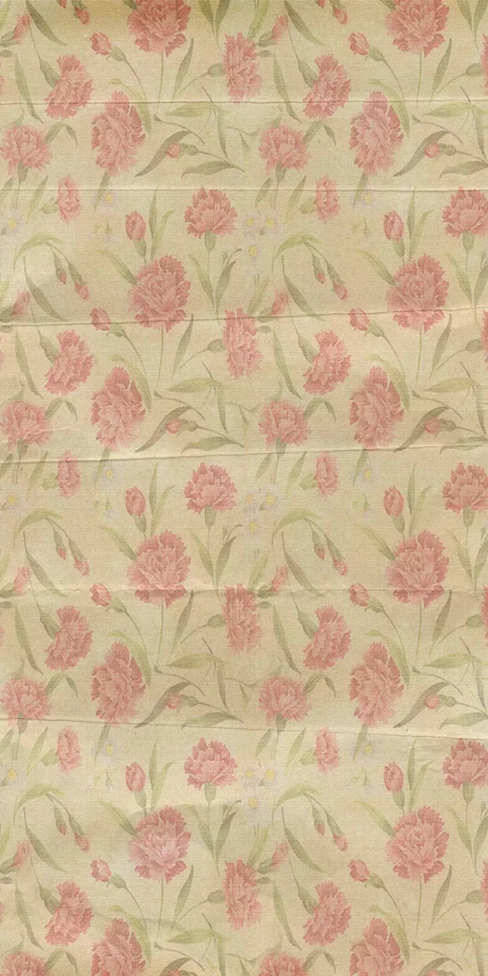 May 10X20 Ultracloth ( 120 X 240 Inch ) Backdrop